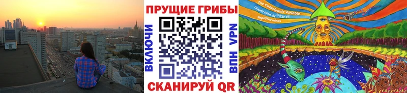 Псилоцибиновые грибы GOLDEN TEACHER нарко площадка телеграм Ковров